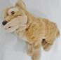 2008 Pleasant Company American Girl Kaya Historical Character Doll W/ Tatlo Wolf Pup Pet image number 2