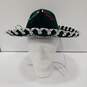 Sombrero From Mexico image number 1