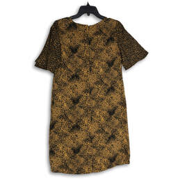 NWT Womens Brown Black Round Neck Short Sleeve Back Zip Shift Dress Size 0 alternative image