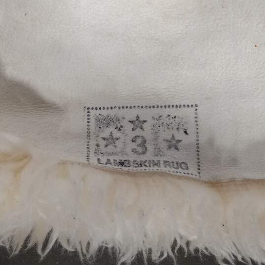 White Tasman Lambskin Rug (35" x 25") image number 5