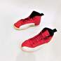 Jordan 12 Retro Gym Red Men's Shoes Size 12 image number 2