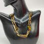 Designer J. Crew Gold-Tone Resin Tortoise Fashionable Link Chain Necklace image number 1