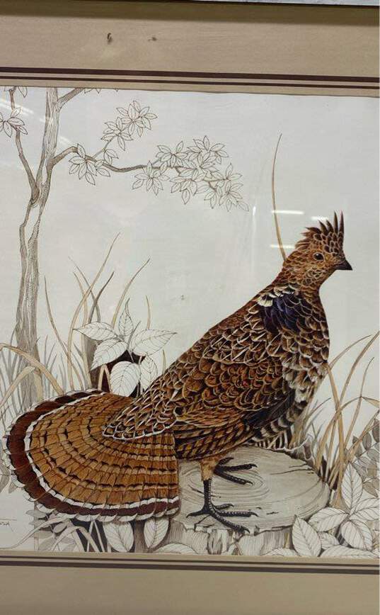 Nature Illustration Print of Ruffed Grouse by Frank Massa image number 5