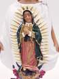Statuette of Virgen De Guadalupe San Juan Diego image number 7