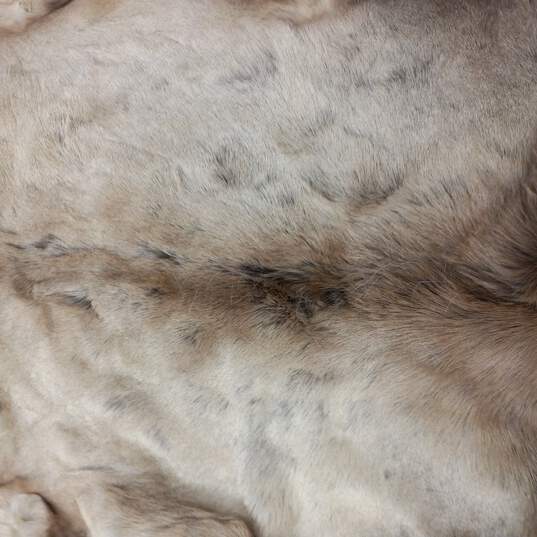 Large Piece of Deer Fur Pelt image number 6
