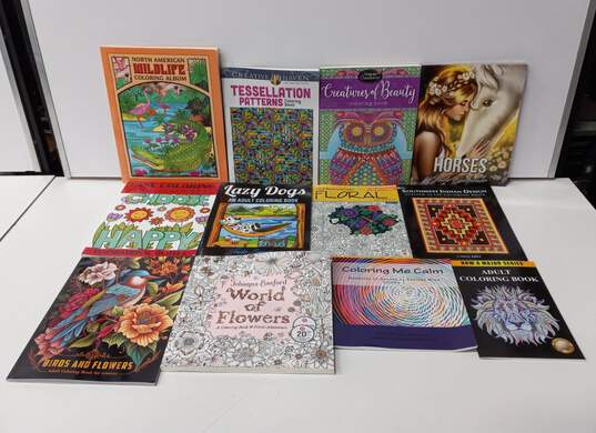Bundle of 12 Assorted Coloring Books image number 1