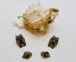 Rustic Romantic Piddly Links Charm Bracelet & Sorrelli Rhinestone Earrings 32.0g