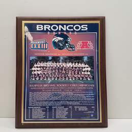 Denver Broncos 1999 Super Bowl Champions Plaque