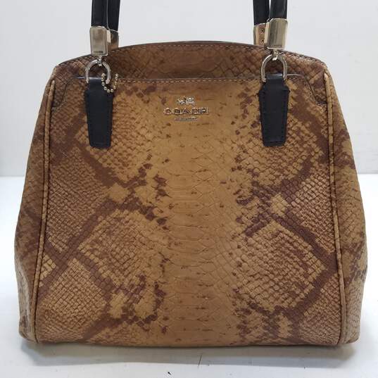 Snakeskin Bags for Women - Up to 75% off