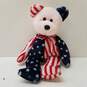 Ty Beanie Babies Assorted Patriotic Bundle Lot of 6 image number 3