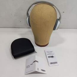 Bose OE2 Headphones w/Black Leather Case