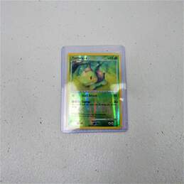 Pokemon TCG Mid Era Collection Lot of 6 Grass Type Cards 2005-2010 alternative image