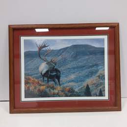 Elk In Mountainous Landscape Artwork Print Framed