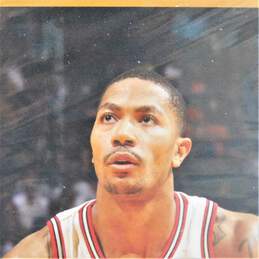 2012 Derrick Rose Panini NBA Math Hoops 5x7 Card Chicago Bulls alternative image
