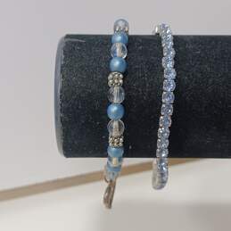 Bundle of Assorted Blue Fashion Jewelry alternative image