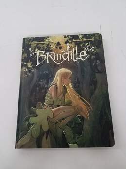 Brindille Graphic Novel
