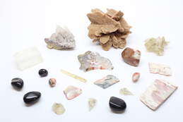 Collection of Gemstones Minerals Shell & Crystals