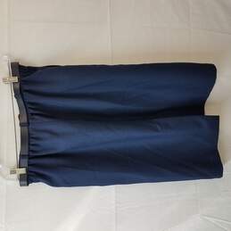 Alfred Dunner Blue Midi Skirt alternative image