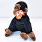 Ty Beanie Babies Assorted Bundle Lot of 4 image number 2