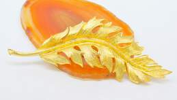 Vintage Coro Gold Tone Leaf Feather Brooch 14.5g