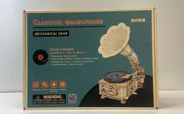 Rokr Puzzle Classic Gramophone Vinyl Records 3d Wooden Puzzle Toys DIY