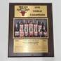 Chicago Bulls 25th Anniversary NBA 1991 World Championship Plaque Team Photo image number 1
