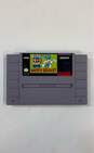 Tiny Toon Adventures: Buster Busts Loose! - Super Nintendo (CIB) image number 4