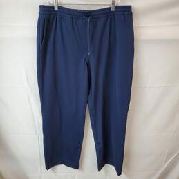 Lululemon Navy Blue Drawstring Pants in Size XL