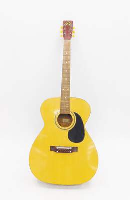 Kay K6160 Acoustic Guitar for P&R