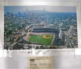 Jenkins Banks Williams Signed LTD ED Wrigley Field Poster w/ COA Chicago Cubs