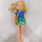American Girl Doll Wellie Wishers Camille image number 1