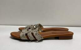Vince Camuto Graciela Snakeskin Print Brown Slide Sandals Women's Size 6