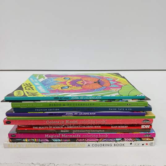 Bundle of 12 Assorted Coloring Books image number 3