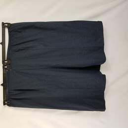 Talbots Skirt 3XL Blue alternative image