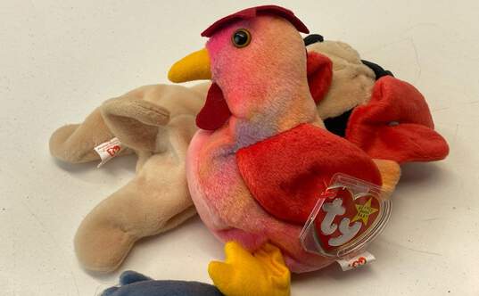Assorted Ty Beanie Babies Bundle Lot Of 8 With Tags Dogs Birds image number 5