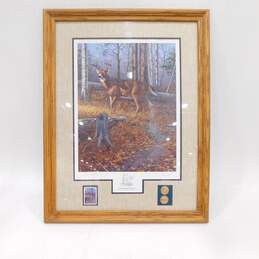 Artist Harry Antis Signed 'Woodland Prince' Deer Limited Edition Print & Stamp