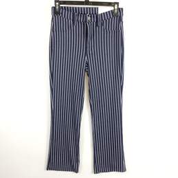 American Eagle Women Blue Striped Pants Sz 2 NWT