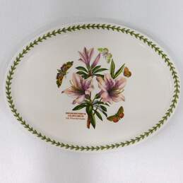 Portmeirion Botanic Garden Lily Flowered Azalea Oval Platter alternative image