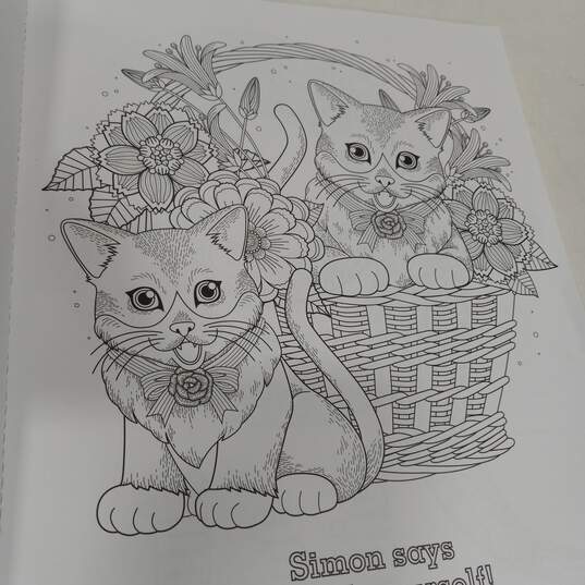 Coloring Books Bundle of 12 image number 5