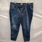 Madewell Curvy High-Rise Skinny Jeans NWT Size 24W Plus image number 1