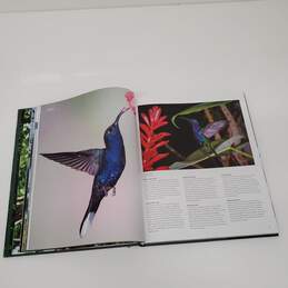 Costa Rica Full Color Photography HC Book by Petra Ender & Ellen Spielmann alternative image