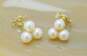 14K Yellow Gold Pearl Cluster Post Earrings 1.3g image number 2