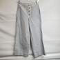 Madewell Womens Emmett Wide-Leg Crop Pants in Stripe Button-Front Sz 24 image number 1