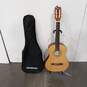 Firebrand Classical Acoustic Guitar in Travel Bag image number 1