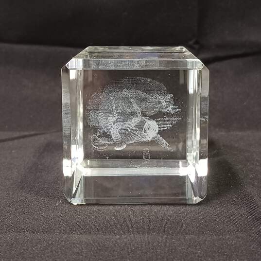 Laser Cut Holographic Fairy Crystal Paperweight w/ Box image number 6