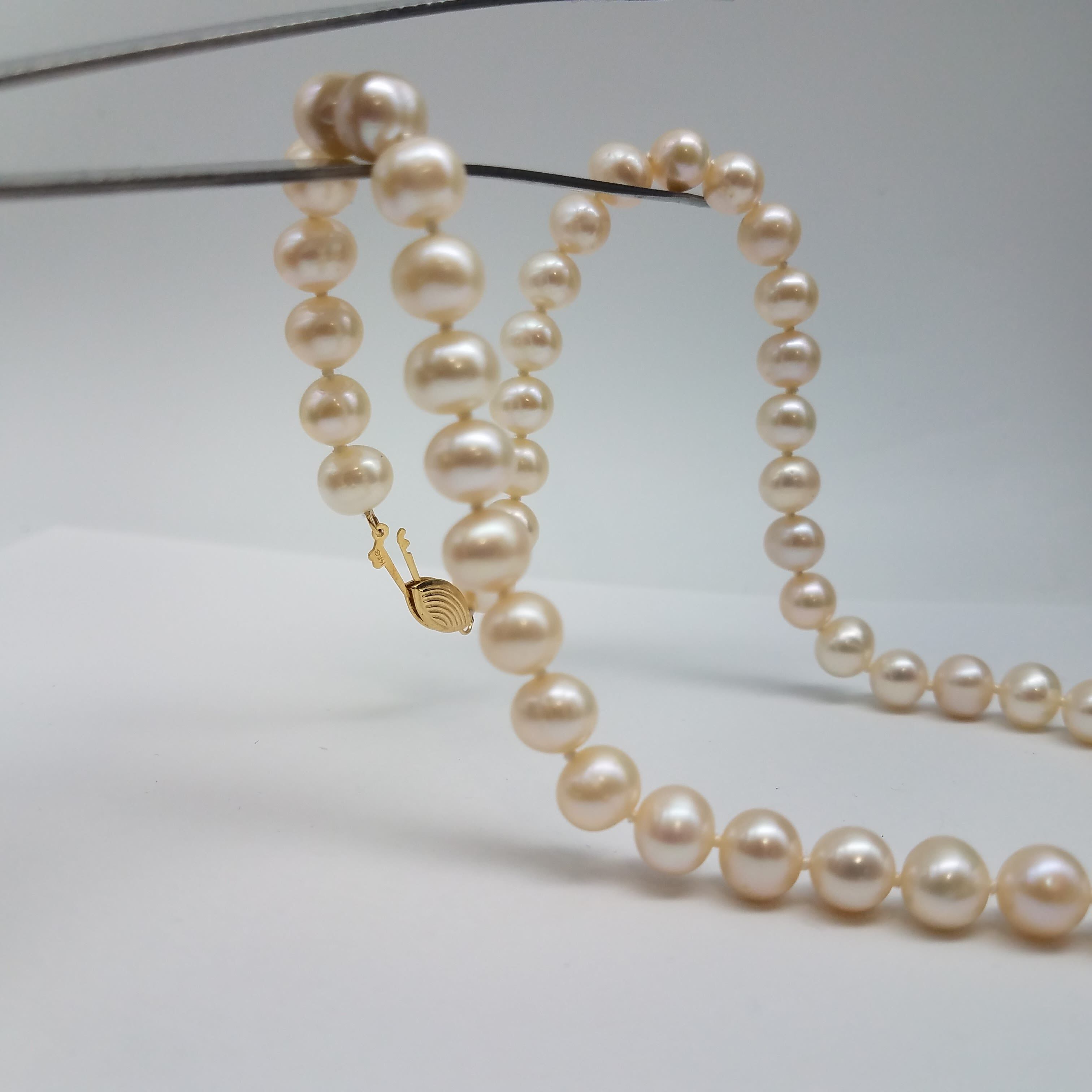 Faux Pearl Necklace BY303