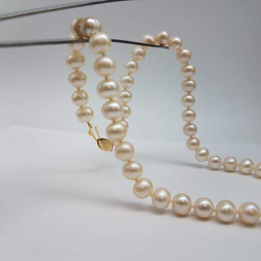 14k Gold FW Pearl Knotted 8mm Pearl 15 Inch Necklace 29.1g image number 7