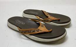 COACH Latrice Thong Slide Sandals Shoes Size 6.5 M