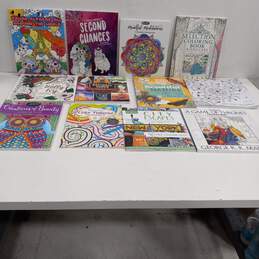 Bundle of 12 Assorted Adult Coloring Books