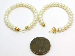 14K Yellow Gold Pearl Hoop Earrings 4.6g alternative image